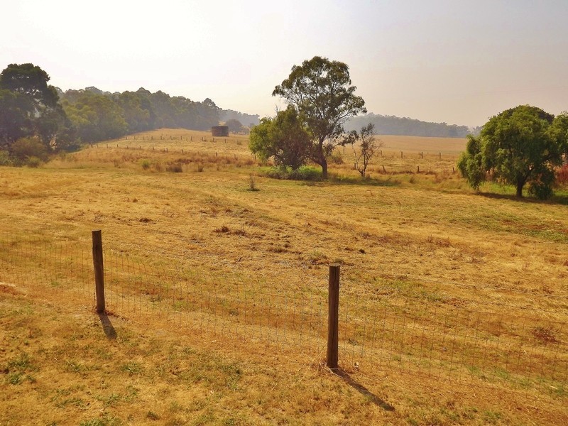 260  Becks Bridge Road, Tanjil South VIC 3825