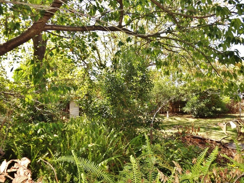 19 Murray Road, Newborough VIC 3825