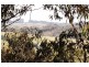 21 Delbridge Drive, Moe South VIC 3825