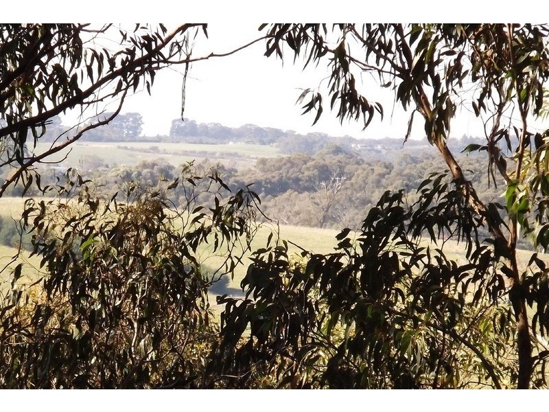 21 Delbridge Drive, Moe South VIC 3825