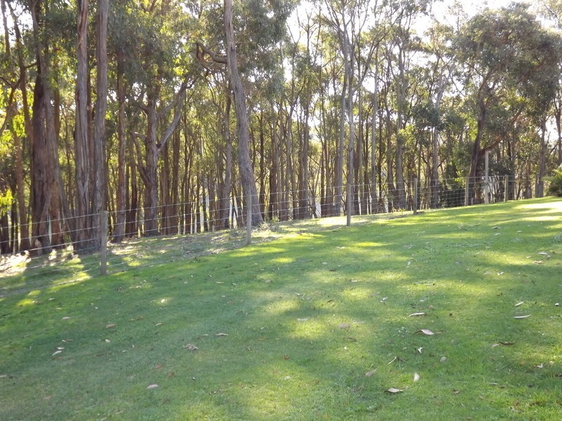 21 Delbridge Drive, Moe South VIC 3825