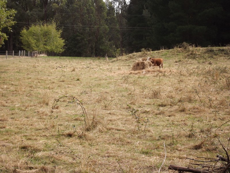 285 Old Walhalla Road, Moondarra VIC 3825