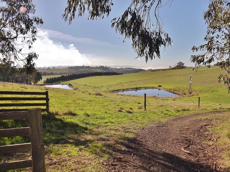90 McGraths Track, Hernes Oak VIC 3825