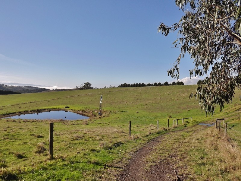 90 McGraths Track, Hernes Oak VIC 3825