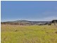 90 McGraths Track, Hernes Oak VIC 3825
