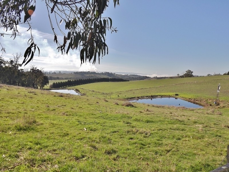 90 McGraths Track, Hernes Oak VIC 3825