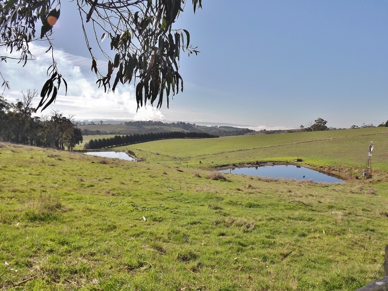 90 McGraths Track, Hernes Oak VIC 3825