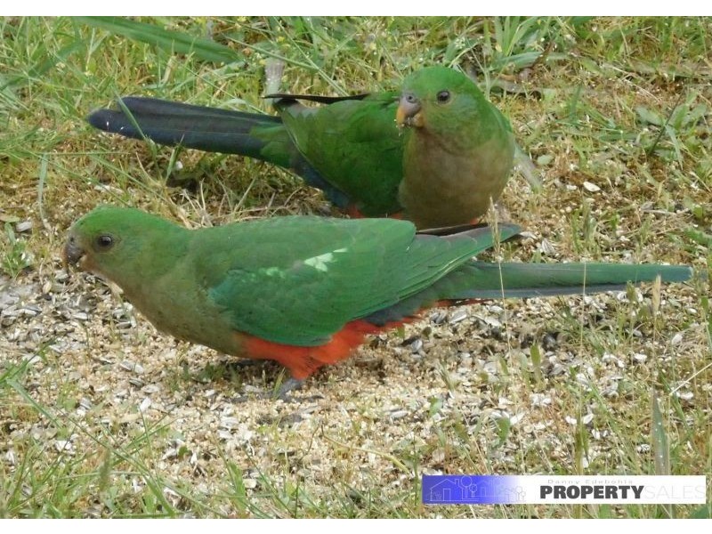 20 Adam View Court, Tanjil South VIC 3825