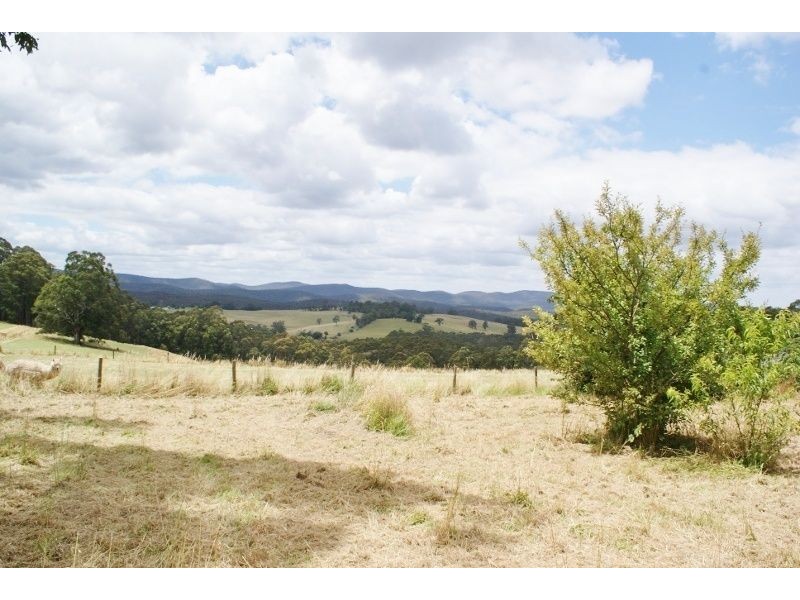 2384 Willow Grove Road, Hill End VIC 3825