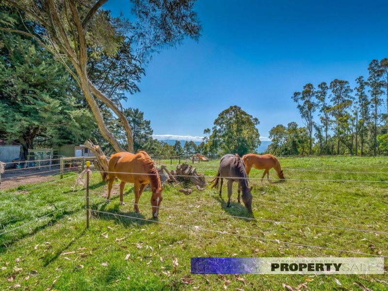 662 Moe South Road, Moe South VIC 3825