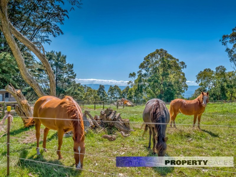 662 Moe South Road, Moe South VIC 3825