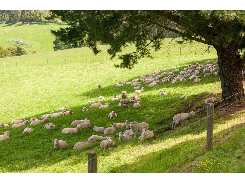 49 Childers Connection Road, Childers VIC 3824