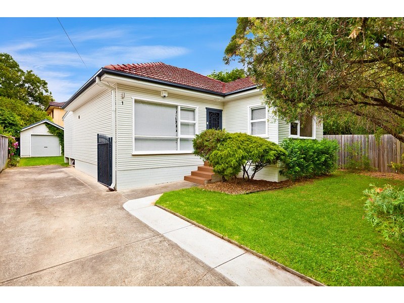 1 Watkin Street, Concord NSW 2137