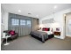 41 Kingston Avenue, Concord NSW 2137