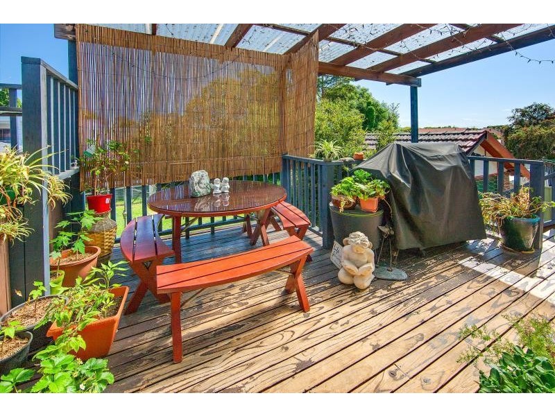 17 Homedale Avenue, Concord NSW 2137