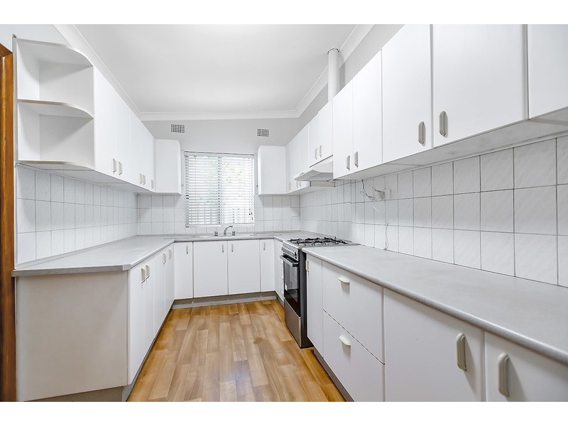 29 Wilga Street, Concord West NSW 2138