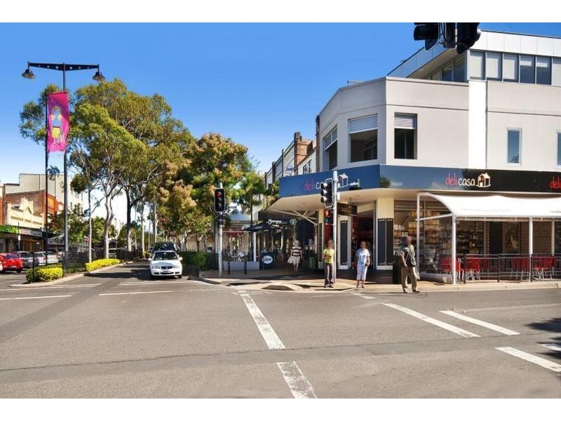 22 Turner Avenue, Concord NSW 2137