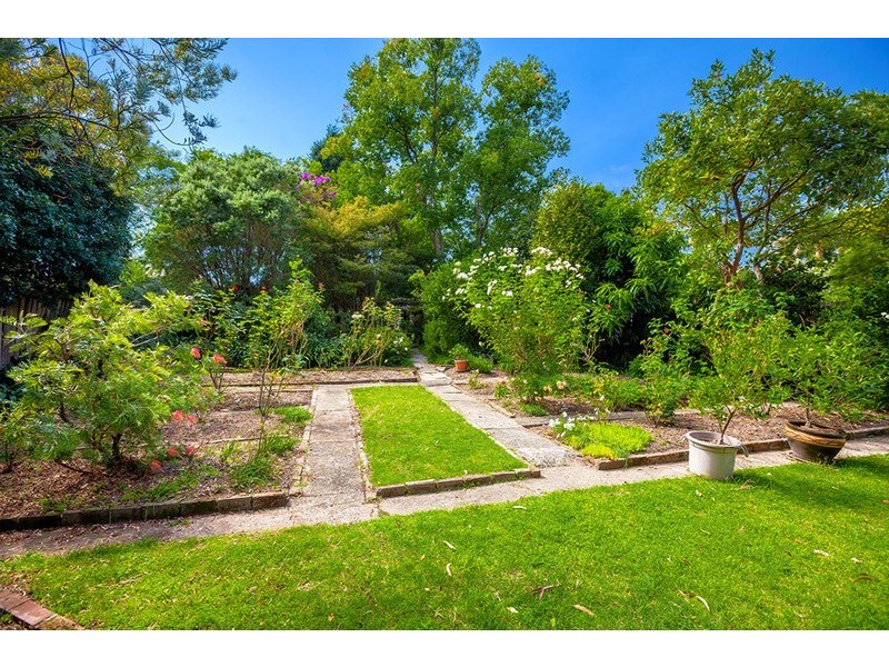 41 Mackenzie Street, Strathfield NSW 2135
