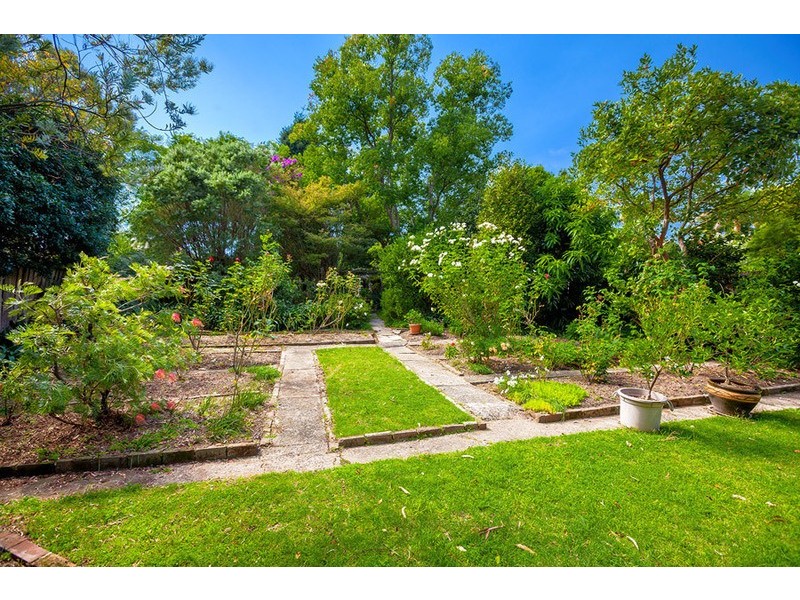 41 Mackenzie Street, Strathfield NSW 2135