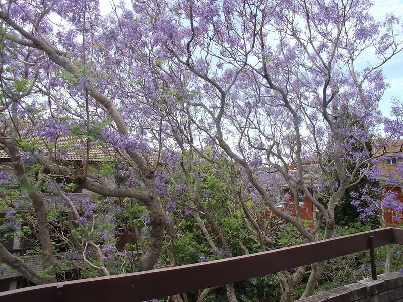 10/20-24 Tranmere Street, Drummoyne NSW 2047