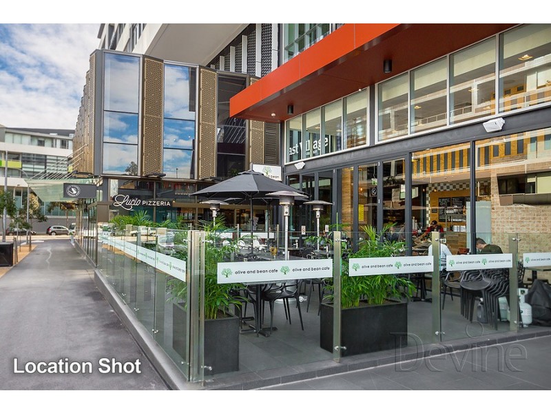 1/6 Defries Avenue, Zetland NSW 2017