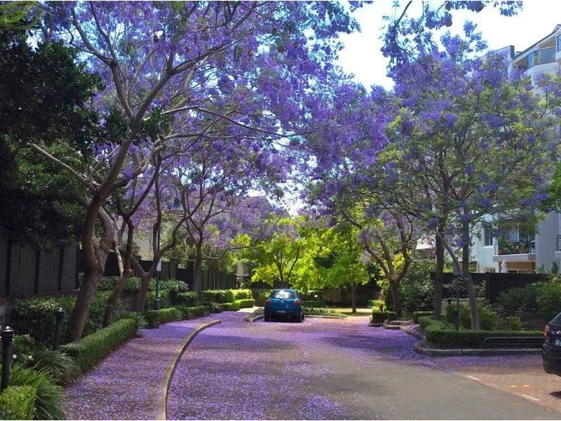 42/3 Harbourview Crescent, Abbotsford NSW 2046