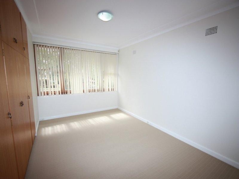 8A Jersey Road, Strathfield NSW 2135