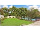 56 Long Street, Strathfield NSW 2135