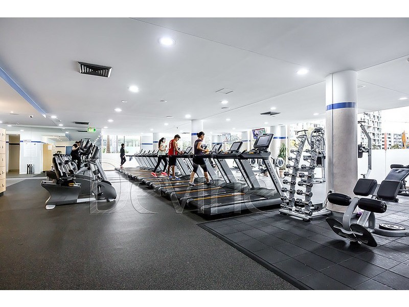 917/5 Potter Street, Waterloo NSW 2017