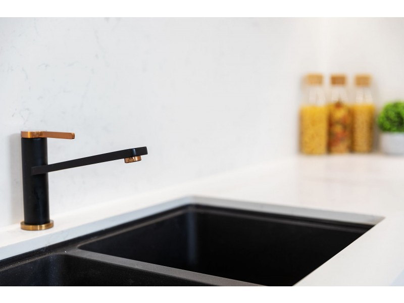 10 Union Street, Tempe NSW 2044