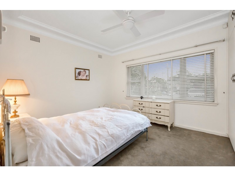 101 Newton Road, Strathfield NSW 2135