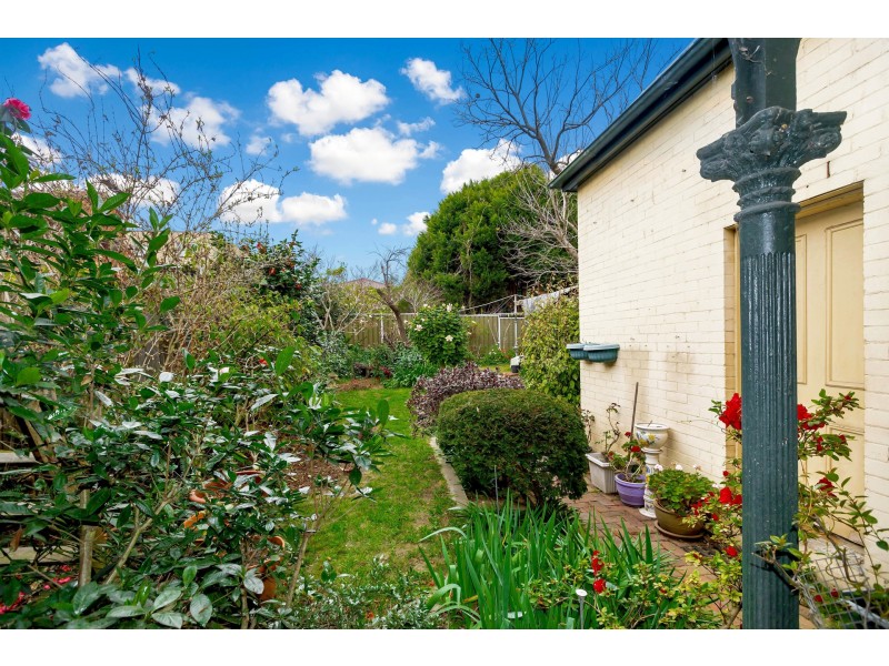 41 Manson Road, Strathfield NSW 2135