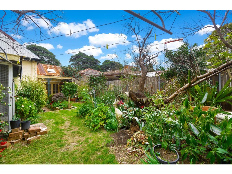 41 Manson Road, Strathfield NSW 2135