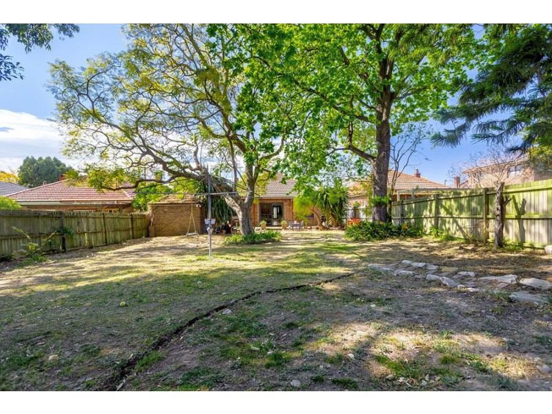 31 Philip Street, Strathfield NSW 2135