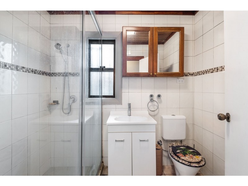 232 Bridge Road, Forest Lodge NSW 2037