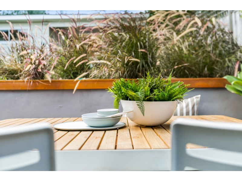 31 Watkin Street, Hurlstone Park NSW 2193