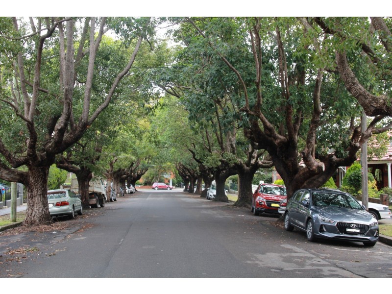 2/56 Canonbury Grove, Dulwich Hill NSW 2203