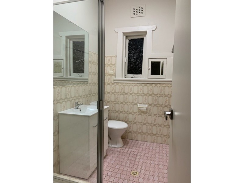 102 Minter Street, Canterbury NSW 2193