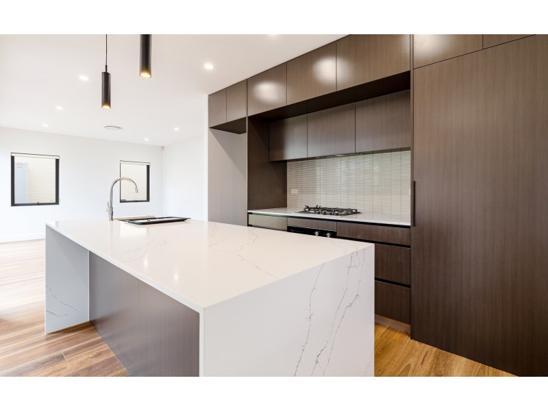 29 Princess Avenue, North Strathfield NSW 2137