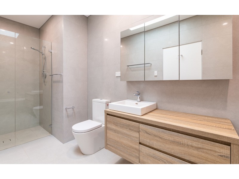 29 Princess Avenue, North Strathfield NSW 2137