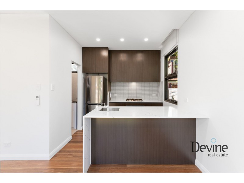 29A Princess Street, North Strathfield NSW 2137