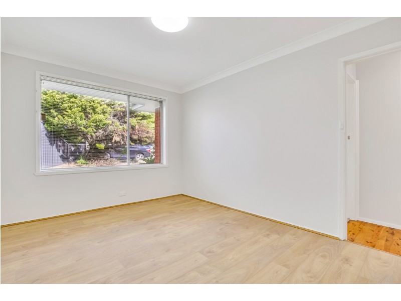 3 Wolli Place, Greenacre NSW 2190