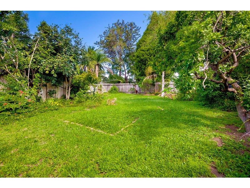 12 Newton Road, Strathfield NSW 2135