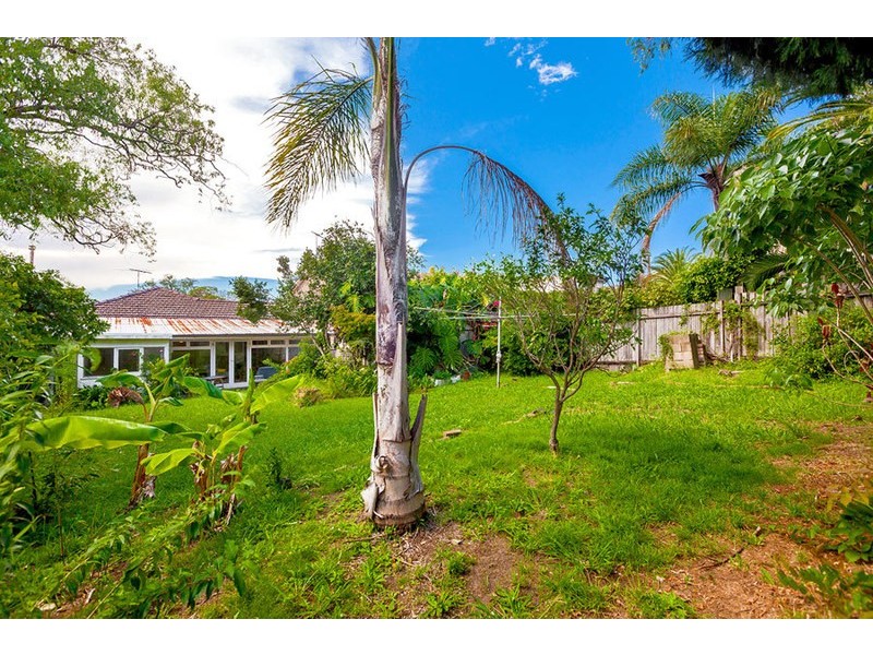 12 Newton Road, Strathfield NSW 2135