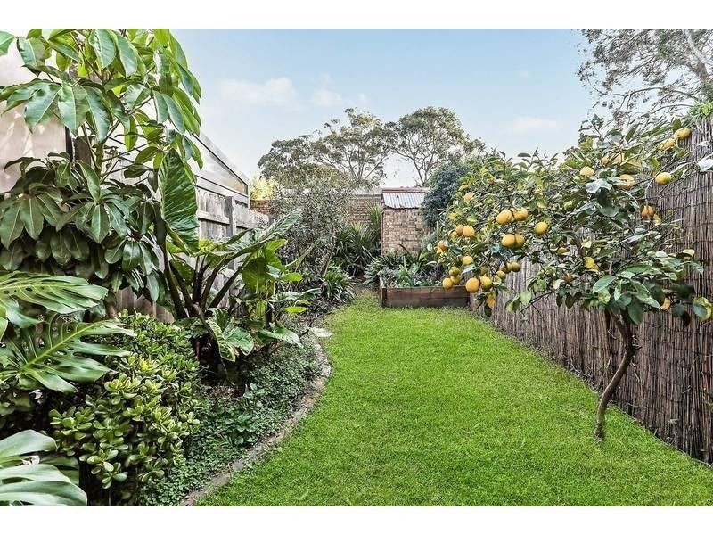 117 Darley Street, Newtown NSW 2042