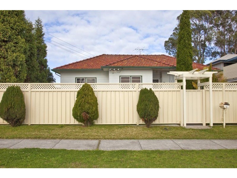 35 Young Road, Lambton NSW 2299