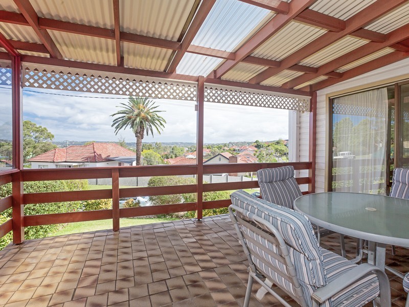 46 Schroder Ave, Waratah NSW 2298