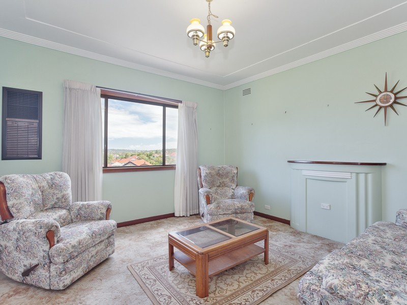 46 Schroder Ave, Waratah NSW 2298