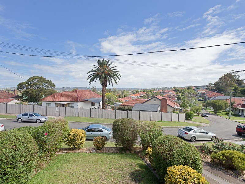 46 Schroder Ave, Waratah NSW 2298