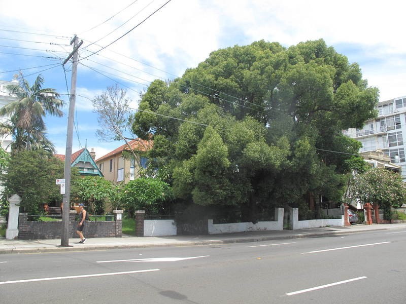 91 – 93 Old South Head Rd, Bondi Junction NSW 2022